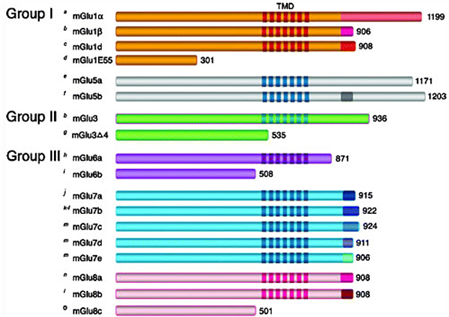 figure3